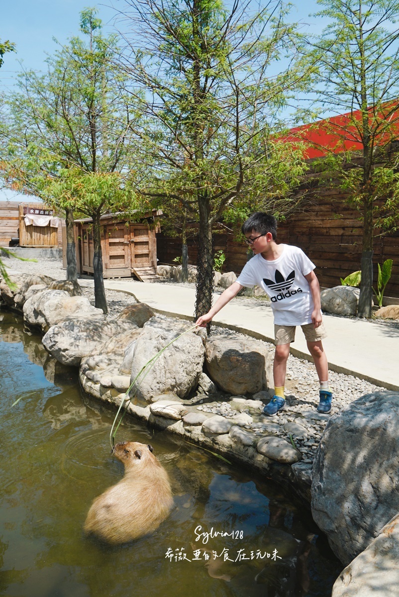 【宜蘭親子景點】蘭陽動植物王國門票，全台首座農場近距離接觸澳洲袋鼠。親子動物農場 @希薇亞の食在玩味