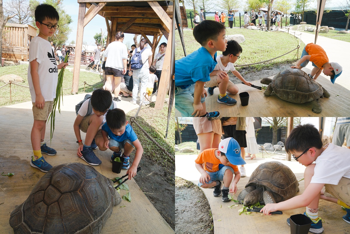 【宜蘭親子景點】蘭陽動植物王國門票，全台首座農場近距離接觸澳洲袋鼠。親子動物農場 @希薇亞の食在玩味