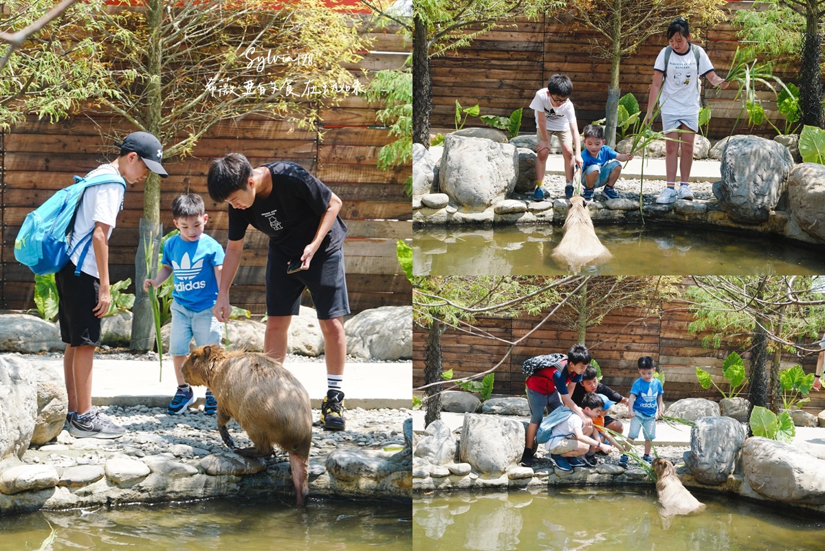 【宜蘭親子景點】蘭陽動植物王國門票，全台首座農場近距離接觸澳洲袋鼠。親子動物農場 @希薇亞の食在玩味