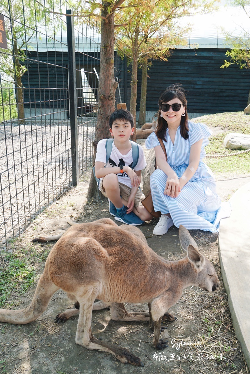 【宜蘭親子景點】蘭陽動植物王國門票，全台首座農場近距離接觸澳洲袋鼠。親子動物農場 @希薇亞の食在玩味