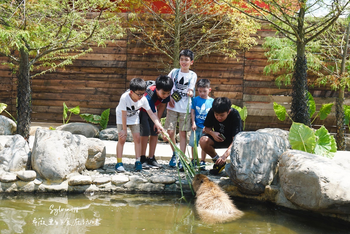 【宜蘭親子景點】蘭陽動植物王國門票，全台首座農場近距離接觸澳洲袋鼠。親子動物農場 @希薇亞の食在玩味