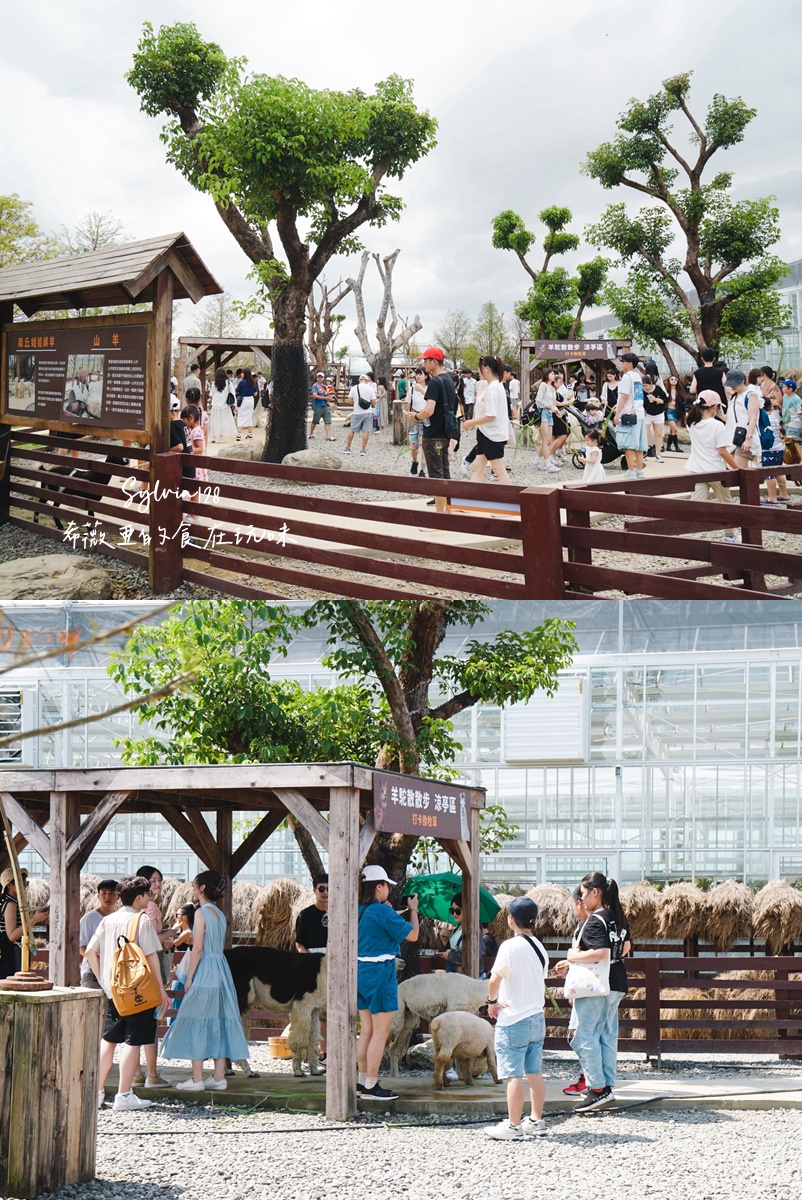 【宜蘭親子景點】蘭陽動植物王國門票，全台首座農場近距離接觸澳洲袋鼠。親子動物農場 @希薇亞の食在玩味