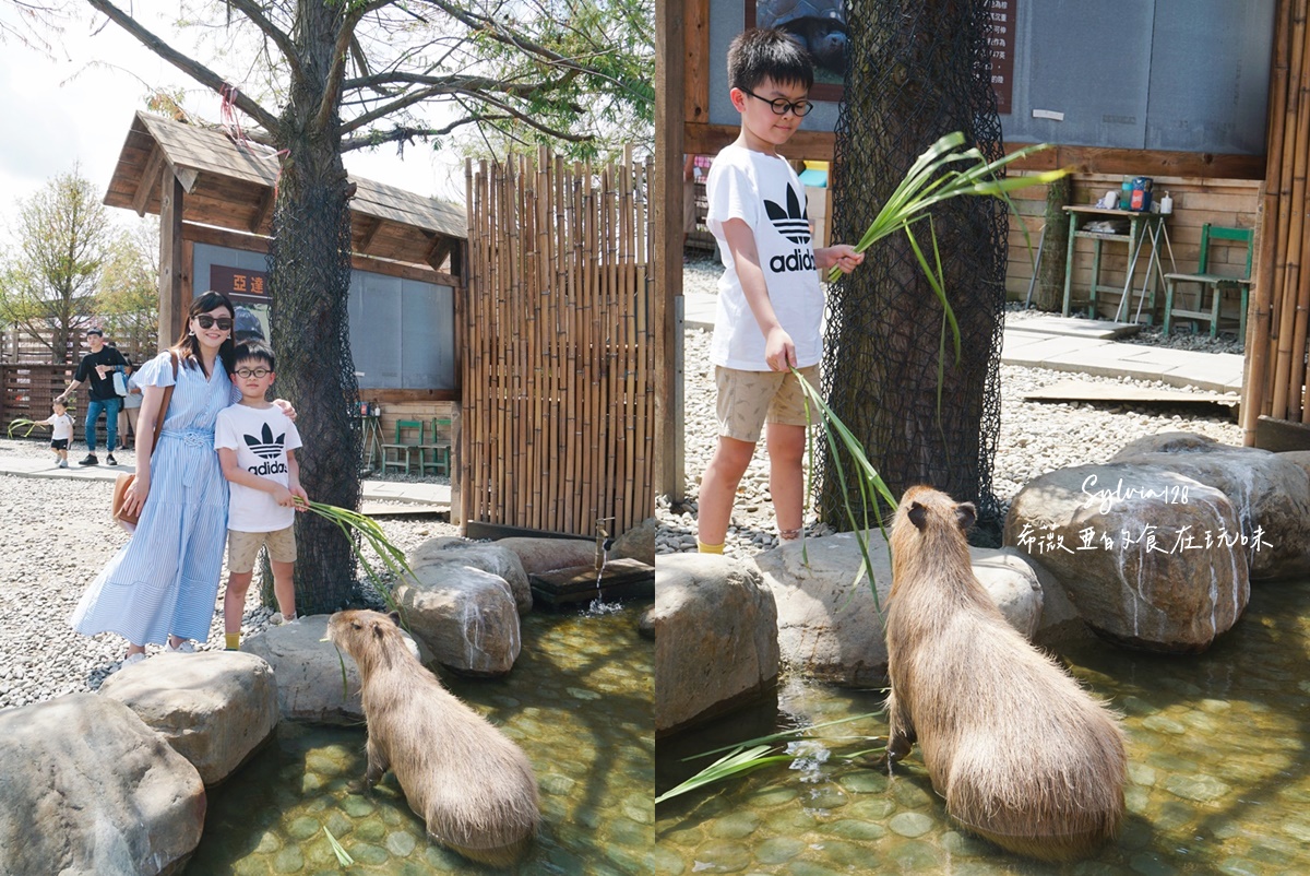 【宜蘭親子景點】蘭陽動植物王國門票，全台首座農場近距離接觸澳洲袋鼠。親子動物農場 @希薇亞の食在玩味