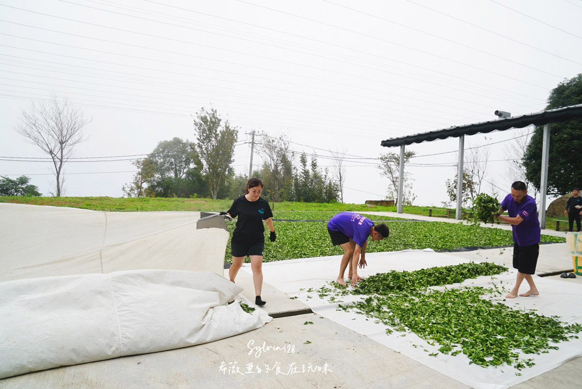 苗栗南庄景點仁心茶的芬芳故事、石壁部落伯優農場景觀咖啡屋-體驗從餐桌到田間的農業樂趣！ @希薇亞の食在玩味