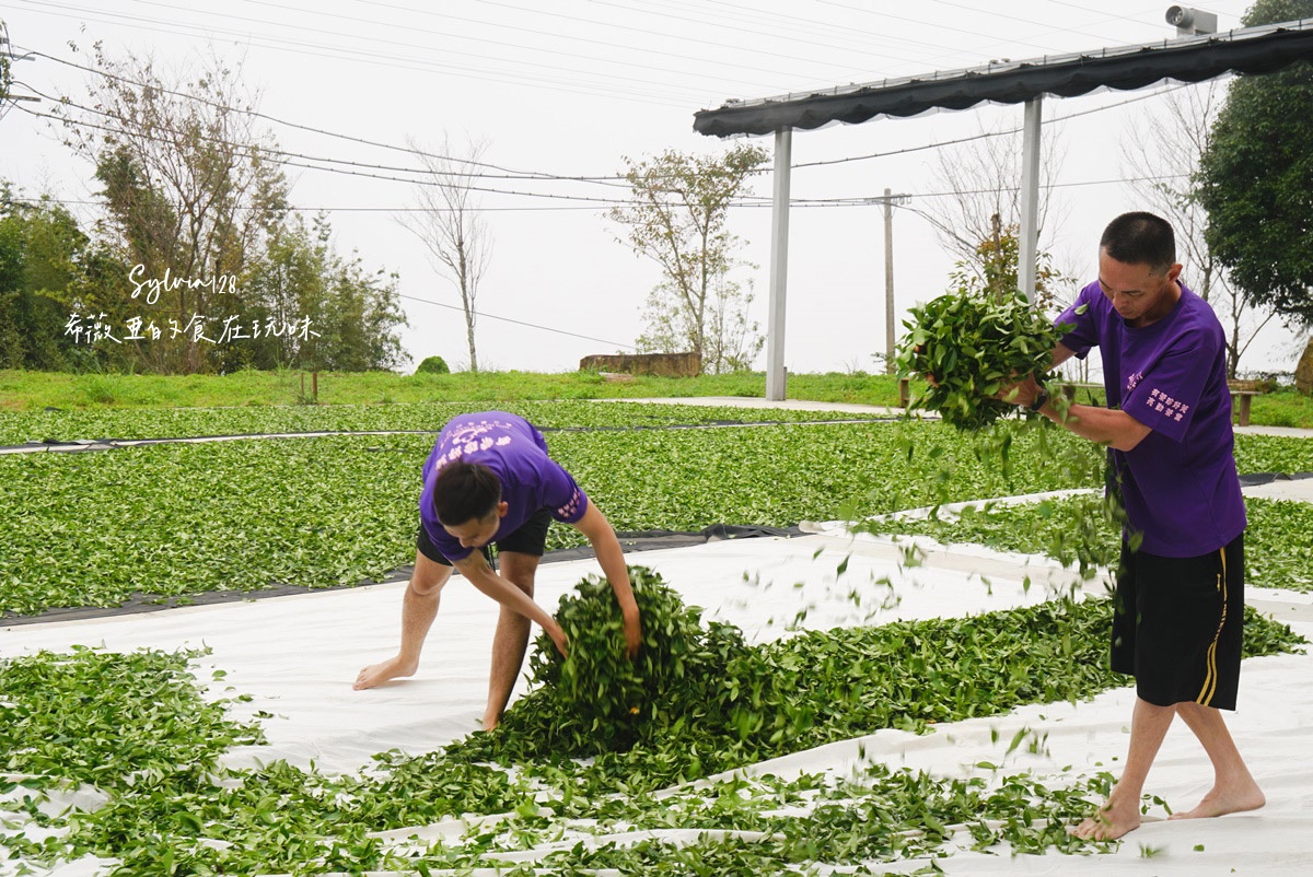 苗栗南庄景點仁心茶的芬芳故事、石壁部落伯優農場景觀咖啡屋-體驗從餐桌到田間的農業樂趣！ @希薇亞の食在玩味