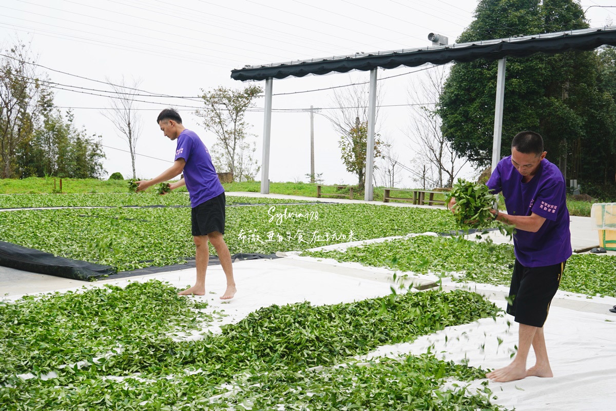 苗栗南庄景點仁心茶的芬芳故事、石壁部落伯優農場景觀咖啡屋-體驗從餐桌到田間的農業樂趣！ @希薇亞の食在玩味