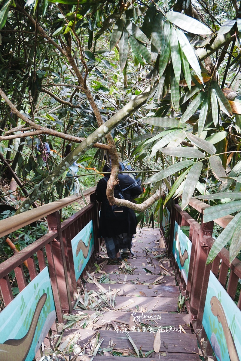 苗栗南庄鹿場部苦花潭步道-大自然優美瀑布秘境的心靈之旅、採柿子體驗！ @希薇亞の食在玩味