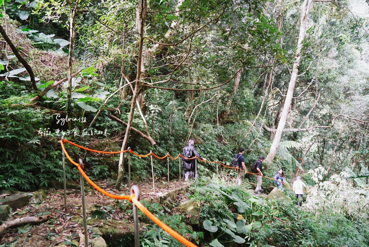 苗栗南庄鹿場部苦花潭步道-大自然優美瀑布秘境的心靈之旅、採柿子體驗！ @希薇亞の食在玩味