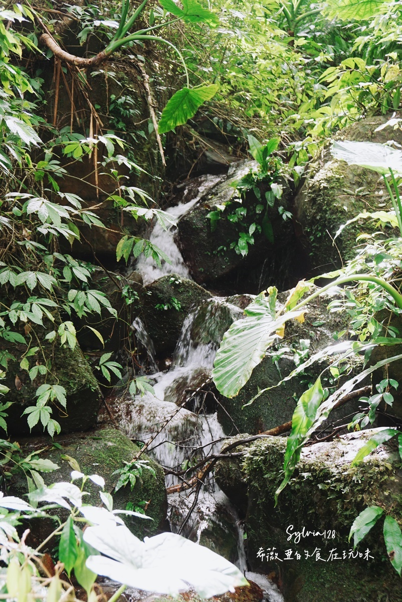 苗栗南庄鹿場部苦花潭步道-大自然優美瀑布秘境的心靈之旅、採柿子體驗！ @希薇亞の食在玩味