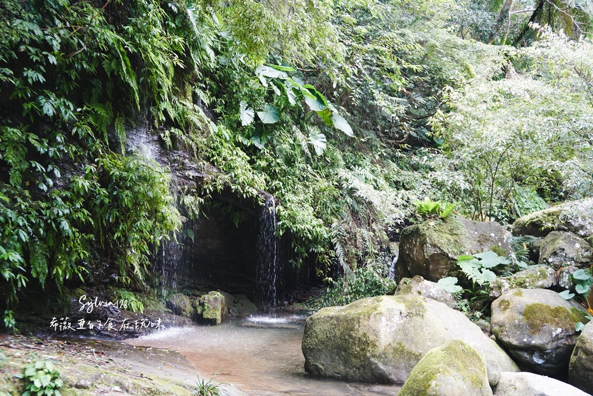 苗栗南庄鹿場部苦花潭步道-大自然優美瀑布秘境的心靈之旅、採柿子體驗！ @希薇亞の食在玩味