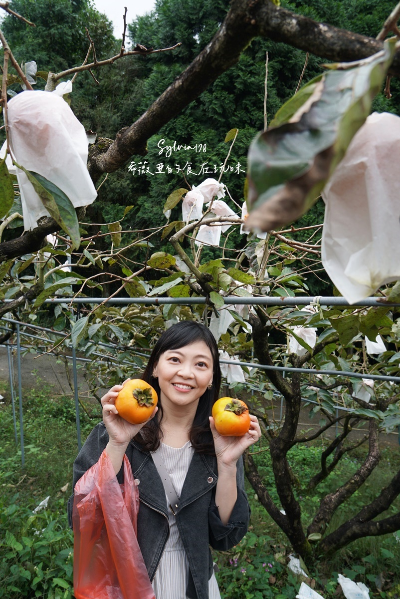 苗栗南庄鹿場部苦花潭步道-大自然優美瀑布秘境的心靈之旅、採柿子體驗！ @希薇亞の食在玩味