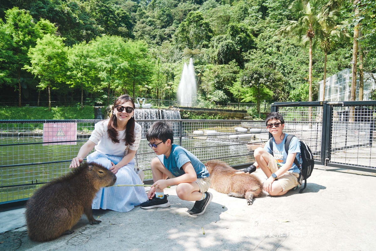【宜蘭住宿】鳳梨屋水上莊園一泊三食。宜蘭一日遊、宜蘭親子體驗、露營、villa住宿推薦 @希薇亞の食在玩味