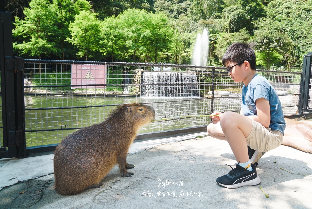 【宜蘭住宿】鳳梨屋水上莊園一泊三食。宜蘭一日遊、宜蘭親子體驗、露營、villa住宿推薦 @希薇亞の食在玩味