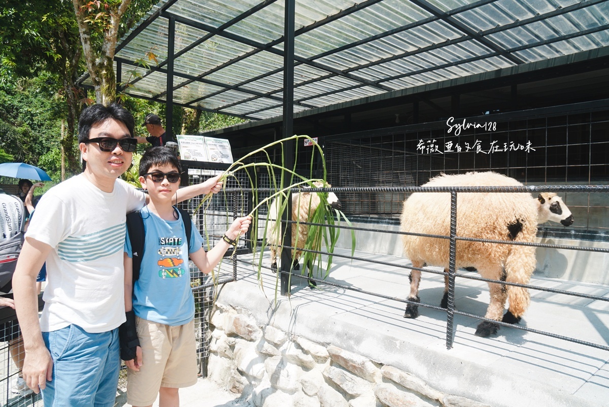 【宜蘭住宿】鳳梨屋水上莊園一泊三食。宜蘭一日遊、宜蘭親子體驗、露營、villa住宿推薦 @希薇亞の食在玩味