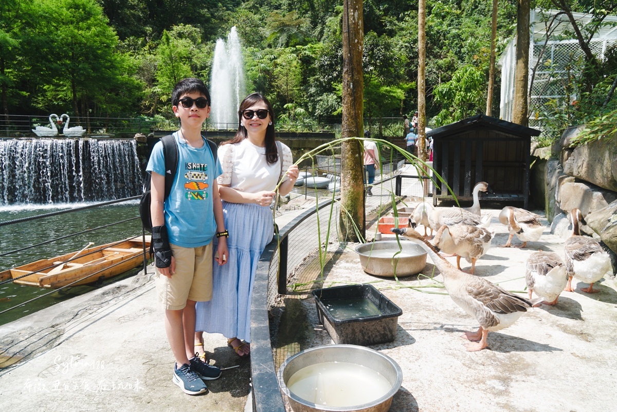 【宜蘭住宿】鳳梨屋水上莊園一泊三食。宜蘭一日遊、宜蘭親子體驗、露營、villa住宿推薦 @希薇亞の食在玩味