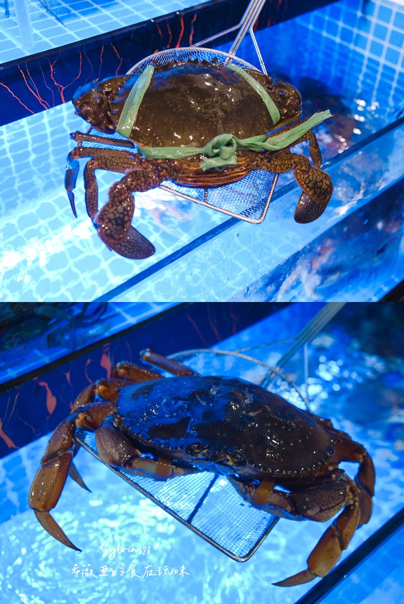 【中山雞湯】星曜雞湯的魅力，喝一口就上癮！台北必喝雞湯推薦！ @希薇亞の食在玩味