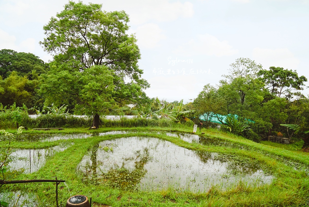 品味貢寮開蘭小旅行。阿松檳榔烘焙坊、雞母嶺野餐與一八九漁舖的慢旅時光 @希薇亞の食在玩味