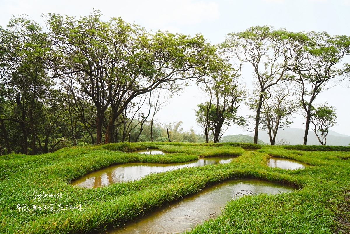 品味貢寮開蘭小旅行。阿松檳榔烘焙坊、雞母嶺野餐與一八九漁舖的慢旅時光 @希薇亞の食在玩味