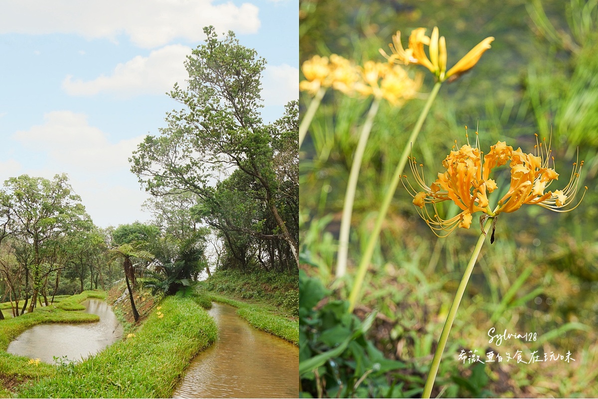 品味貢寮開蘭小旅行。阿松檳榔烘焙坊、雞母嶺野餐與一八九漁舖的慢旅時光 @希薇亞の食在玩味