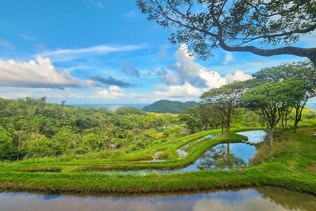 品味貢寮開蘭小旅行。阿松檳榔烘焙坊、雞母嶺野餐與一八九漁舖的慢旅時光 @希薇亞の食在玩味