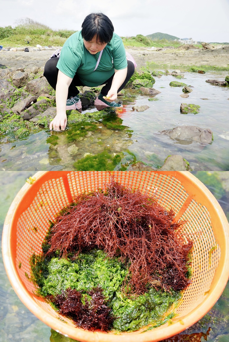 品味貢寮開蘭小旅行。阿松檳榔烘焙坊、雞母嶺野餐與一八九漁舖的慢旅時光 @希薇亞の食在玩味