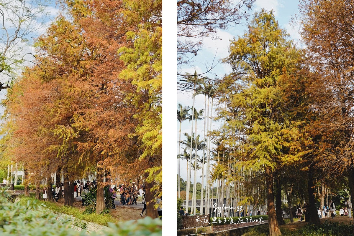 【台北景點】士林官邸公園落羽松 @希薇亞の食在玩味 【台北景點】士林官邸公園落羽松 @希薇亞の食在玩味