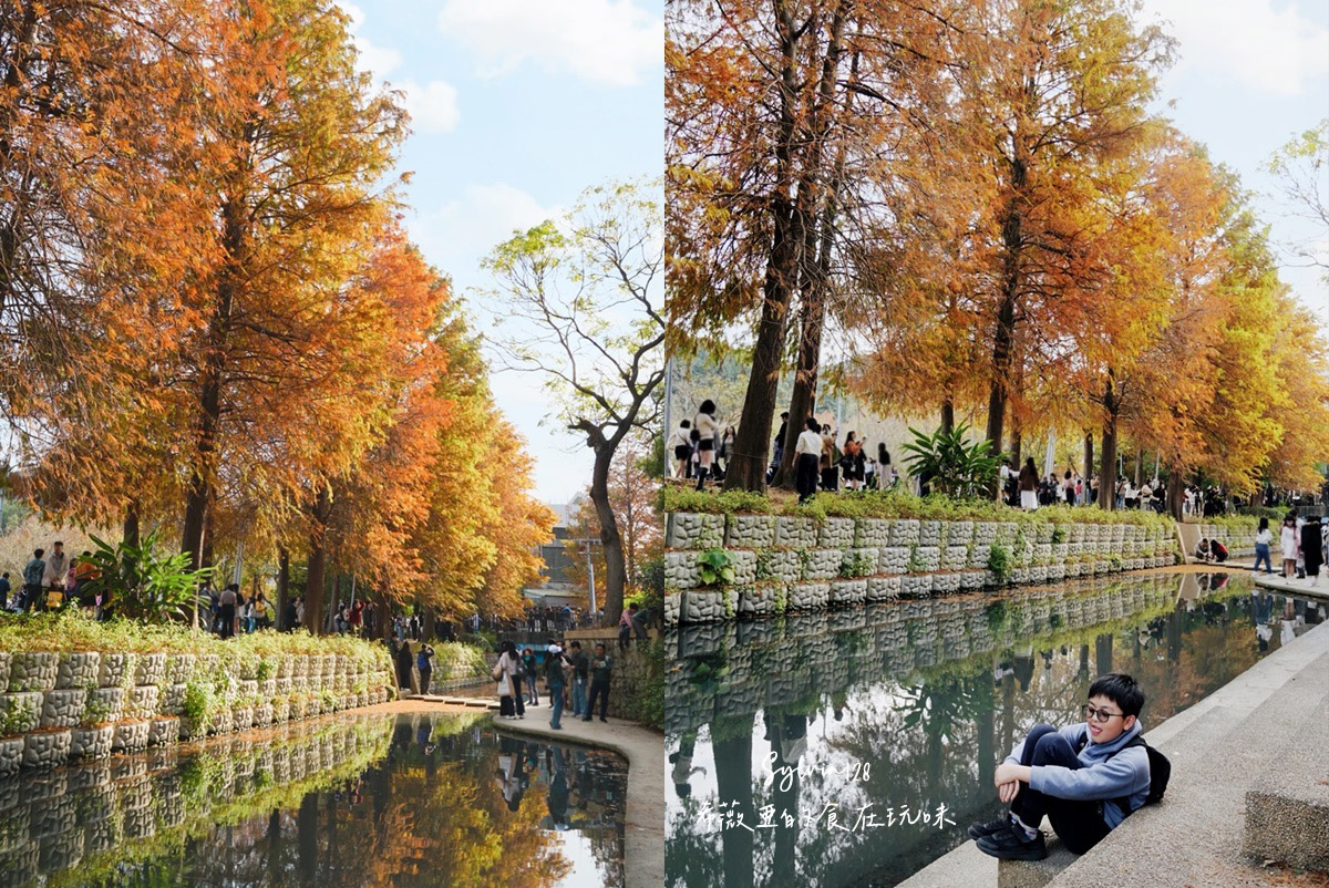 【台北景點】士林官邸公園落羽松 @希薇亞の食在玩味