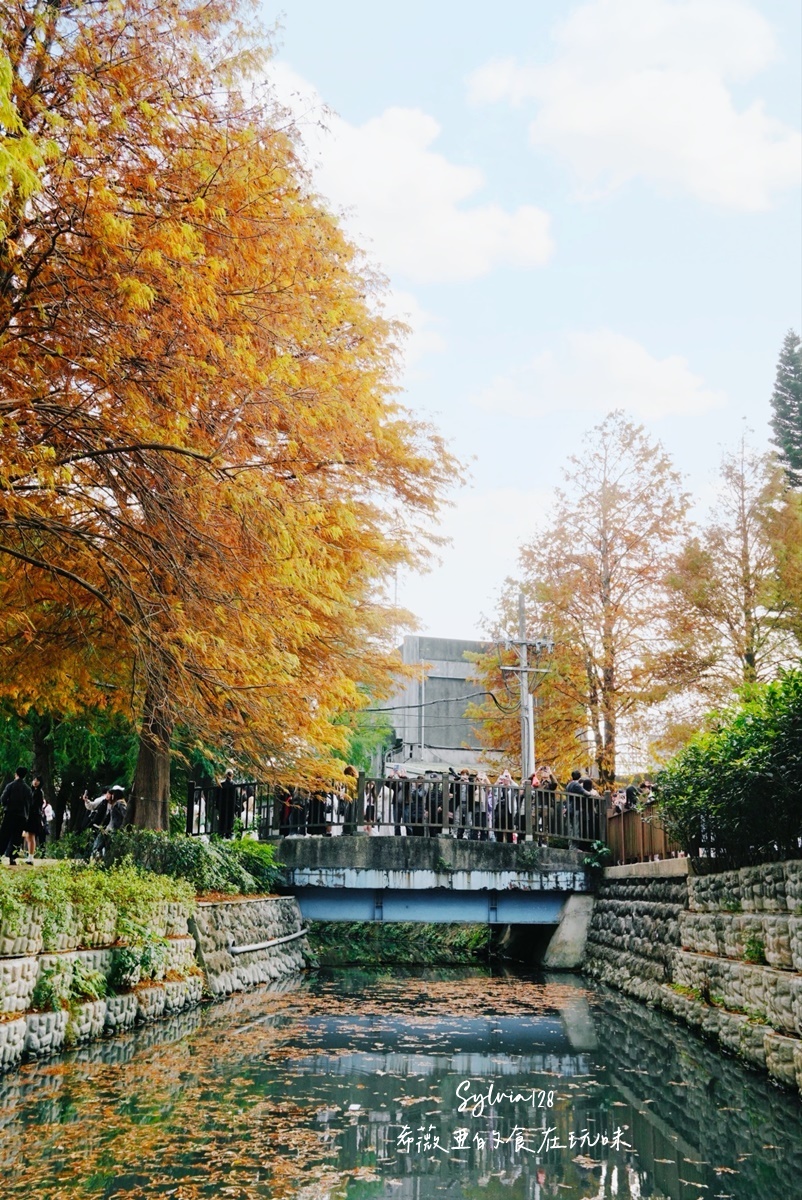 【台北景點】士林官邸公園落羽松 @希薇亞の食在玩味 【台北景點】士林官邸公園落羽松 @希薇亞の食在玩味