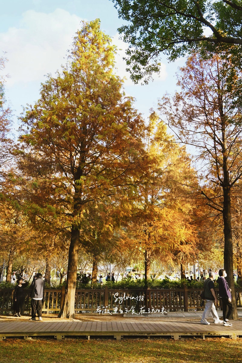 【台北景點】士林官邸公園落羽松 @希薇亞の食在玩味 【台北景點】士林官邸公園落羽松 @希薇亞の食在玩味