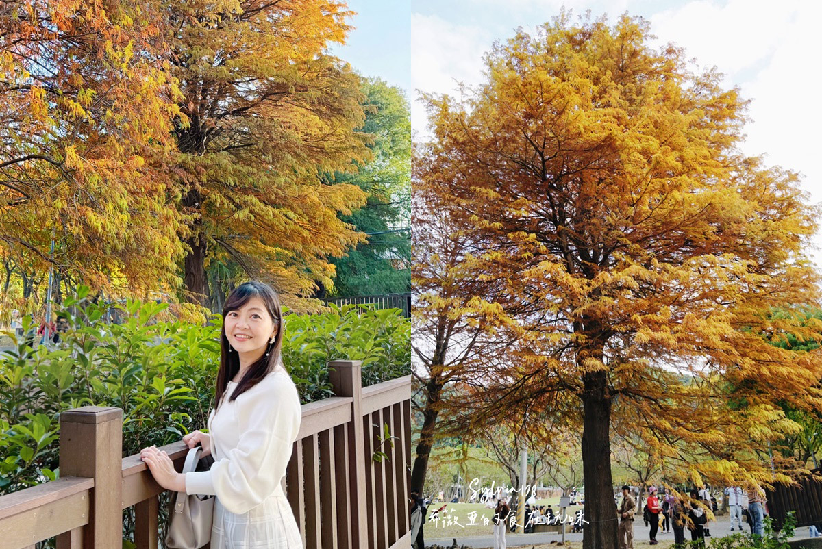 【台北景點】士林官邸公園落羽松 @希薇亞の食在玩味 【台北景點】士林官邸公園落羽松 @希薇亞の食在玩味