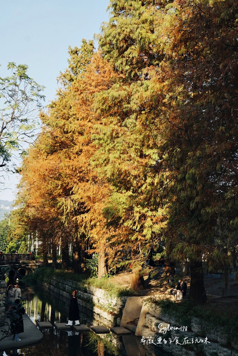 【台北景點】士林官邸公園落羽松 @希薇亞の食在玩味