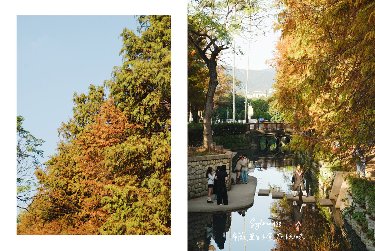 【台北景點】士林官邸公園落羽松 @希薇亞の食在玩味 【台北景點】士林官邸公園落羽松 @希薇亞の食在玩味