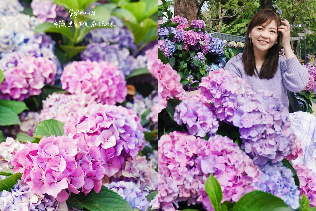 【台北免費賞花景點】大安森林公園繡球花季、台北杜鵑花季，城市裡的夢幻賞花秘境！ @希薇亞の食在玩味
