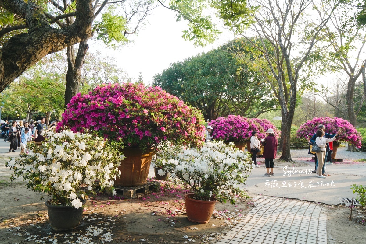 【台北免費賞花景點】大安森林公園繡球花季、台北杜鵑花季，城市裡的夢幻賞花秘境！ @希薇亞の食在玩味