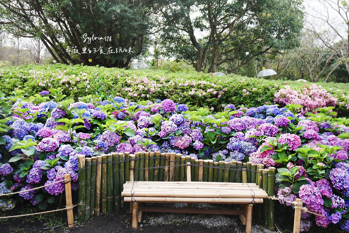 【台北免費賞花景點】大安森林公園繡球花季、台北杜鵑花季，城市裡的夢幻賞花秘境！ @希薇亞の食在玩味
