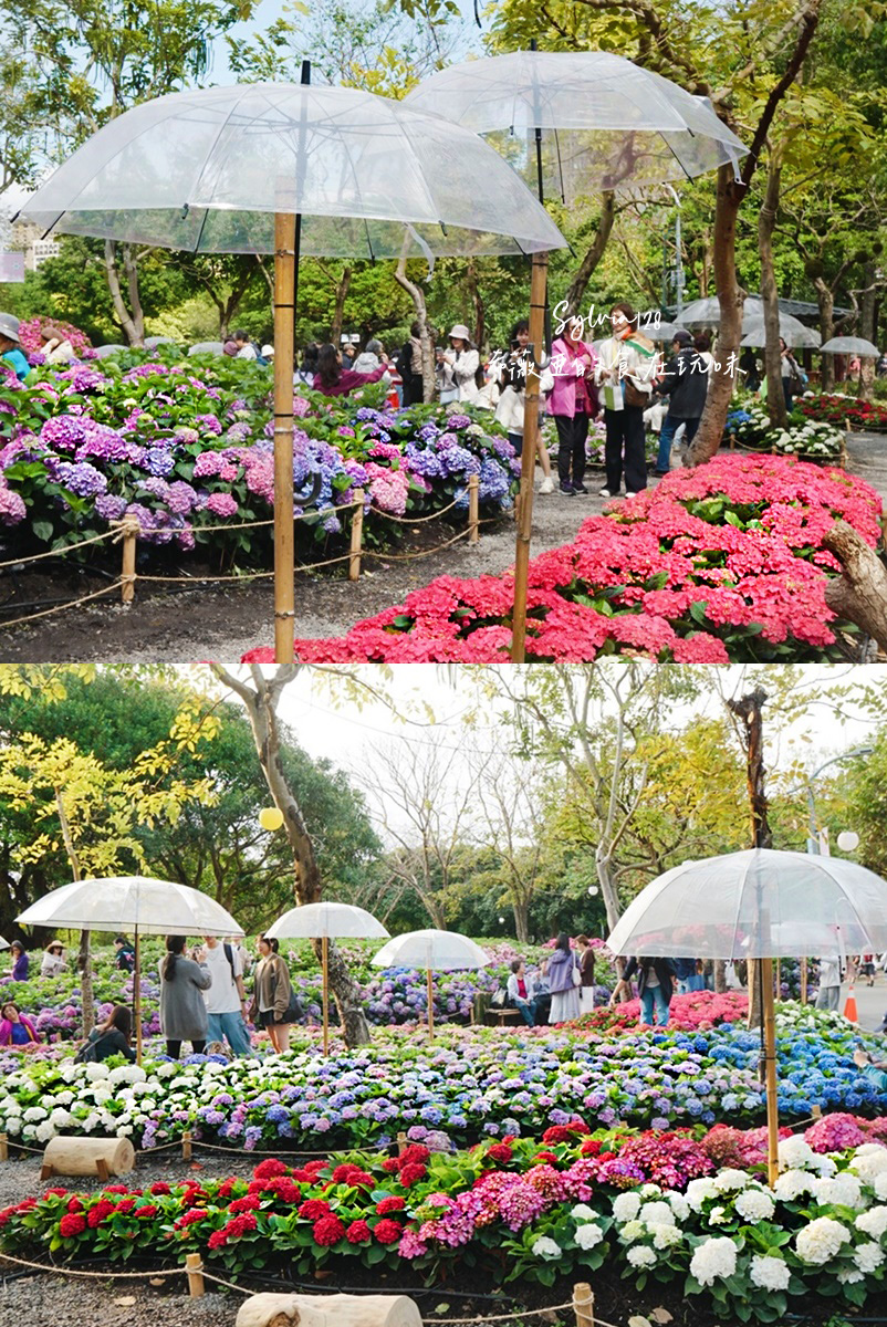 2026 大安森林公園繡球花、台北杜鵑花季。台北免費賞花景點，城市裡的夢幻賞花秘境！ @希薇亞の食在玩味