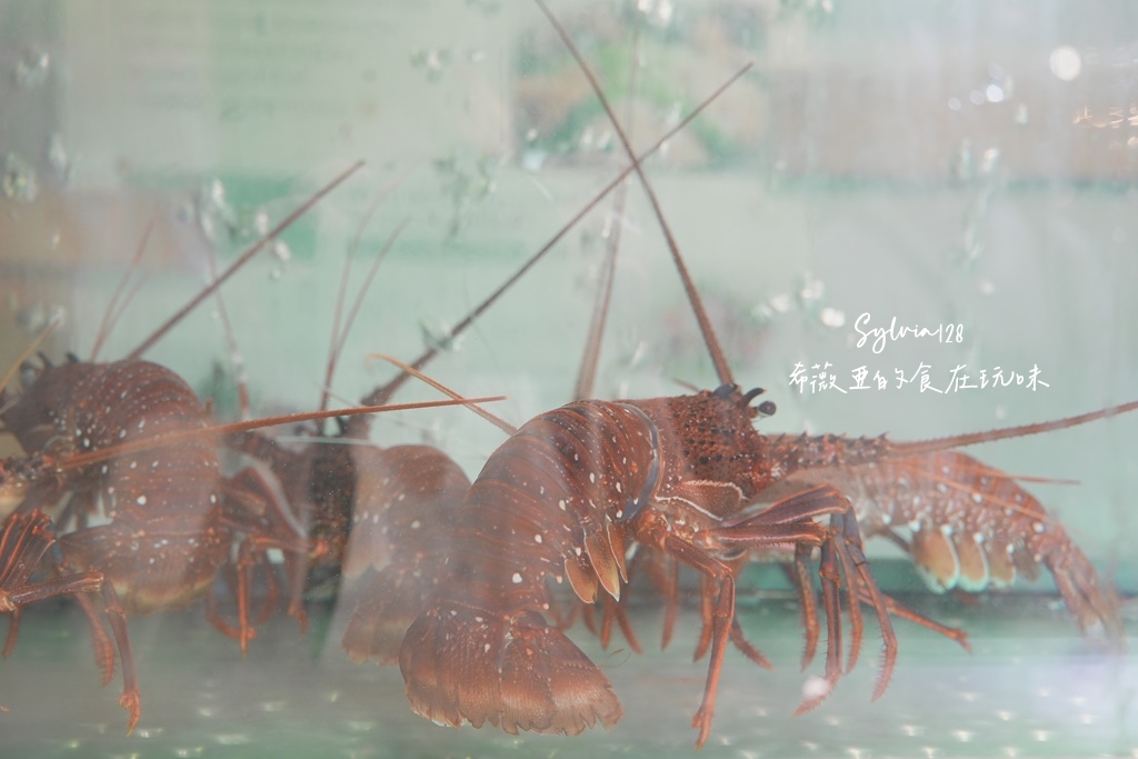 信義安和中式料理|龍洞海鮮餐廳,台北包廂聚餐推薦,家庭聚餐、尾牙春酒都適合,無菜單桌菜12000元起 @希薇亞の食在玩味 信義安和中式料理|龍洞海鮮餐廳,台北包廂聚餐推薦,家庭聚餐、尾牙春酒都適合,無菜單桌菜12000元起 @希薇亞の食在玩味